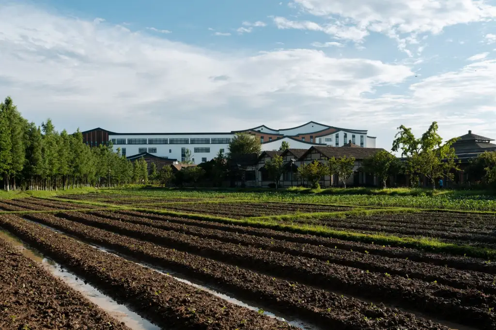 苏州工厂废旧物资回收分拣流程及环保处置技术要点